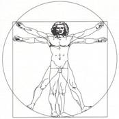 Kineziologie.jpg